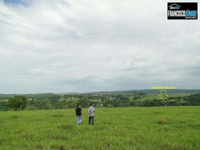 Fazenda em Piracanjuba, perto de Goiânia, 13 Alqueires de pura beleza, frente para rodovia - Foto 15