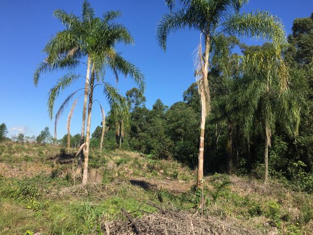 Aceito veículos !! Área de 1.000m2 em Estância Velha bem localizada por apenas R$34.900 - Foto 2