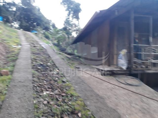 Sítio à venda em Centro, Flores da cunha cod:RP141 - Foto 13