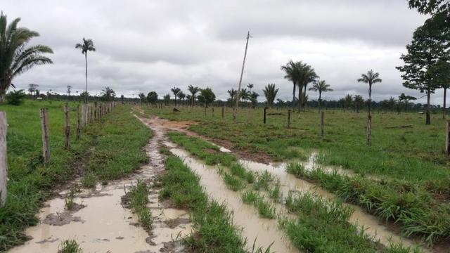 Fazenda - Porto Belo Linha 120 - 900 hectares - Foto 18