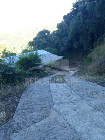 Sítio à venda em Centro, Flores da cunha cod:RP141 - Foto 10
