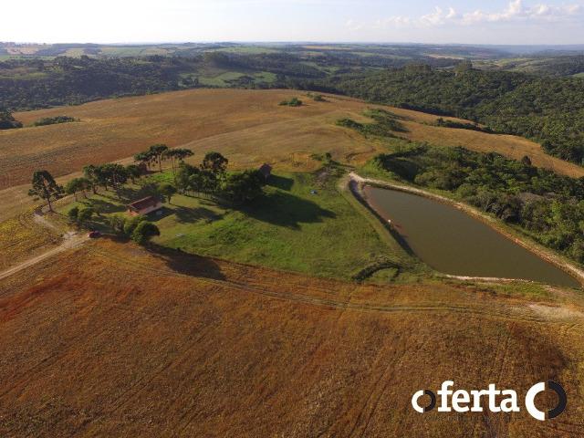 Fazenda com 54 alqueires em Mariental, na Lapa