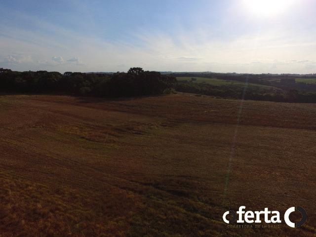 Fazenda com 54 alqueires em Mariental, na Lapa - Foto 12