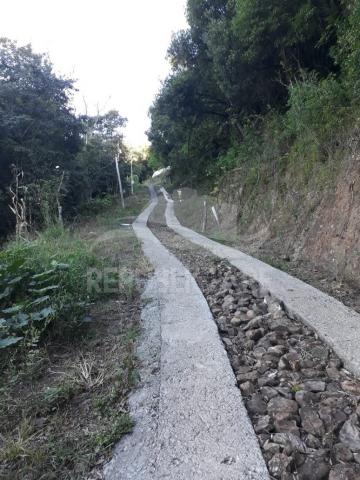 Sítio à venda em Centro, Flores da cunha cod:RP141 - Foto 8