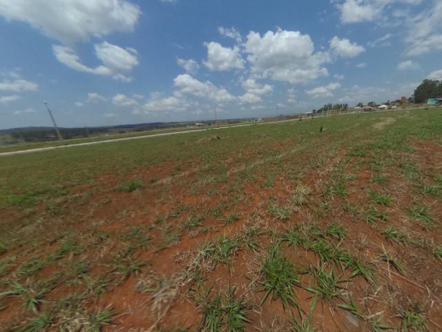 Terreno para alugar com 0 dormitórios em Setor solange, Trindade cod:28420 - Foto 8