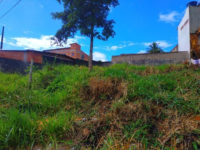 Terreno entre os Bairros Portal Club e Jabarai - Foto 5