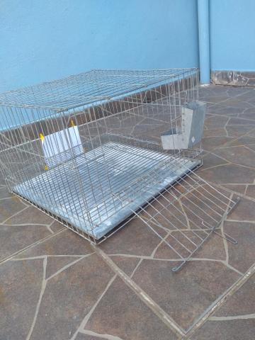 Gaiola - Foto 3