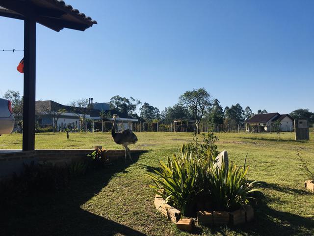 Sitio em Nova Santa Rita - Foto 8
