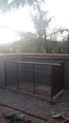 Vendo canil de ferro pintado/casinha - Foto 2