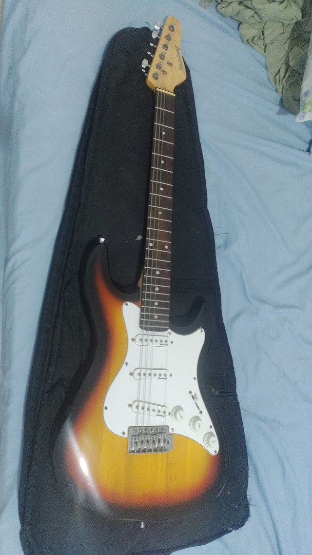 Guitarra Steinberg usada 