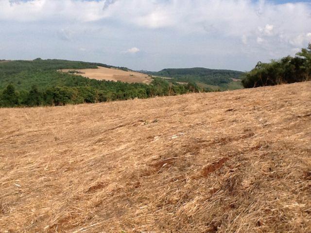 Fazenda de 68 Alqueires . 44 alqueires Mecanizados .Mil Sacas de Soja por Alqueire - Foto 6