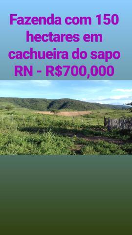 Fazenda com 150 hectares em cachoeira do sapo na br 304 zap. * - Foto 2