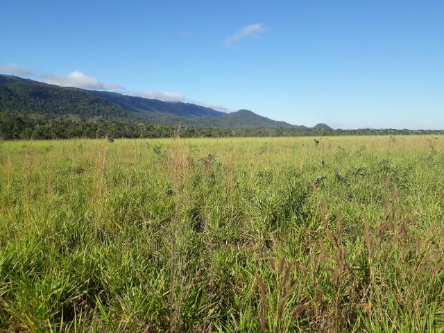 Fazenda entre Jangada e Rosário Oeste com 784 Hectares - Foto 18