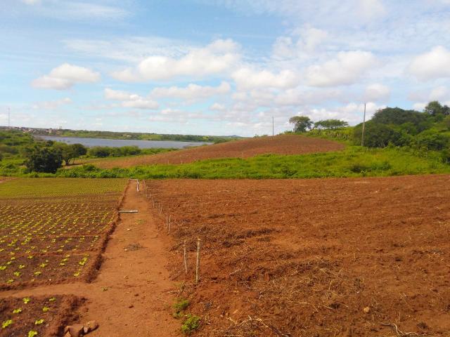 Granja em São Paulo do Potengi com estrutura - Foto 17