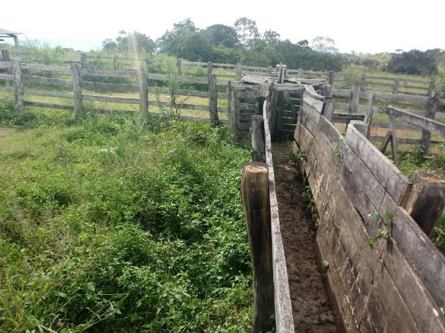 Fazenda entre Jangada e Rosário Oeste com 784 Hectares - Foto 3