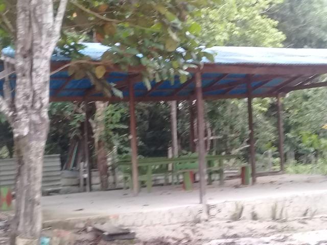 Manacapuru Lindo sitio em, km 69, ramal do Acajatuba com casa mobiliada e igarapé - Foto 3