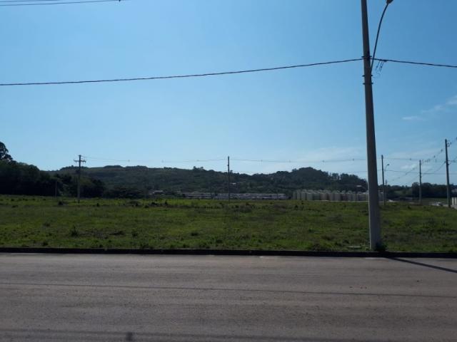 Terreno à venda em Vila nova, Porto alegre cod:VZ5649