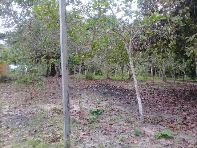 Manacapuru Lindo sitio em, km 69, ramal do Acajatuba com casa mobiliada e igarapé - Foto 17
