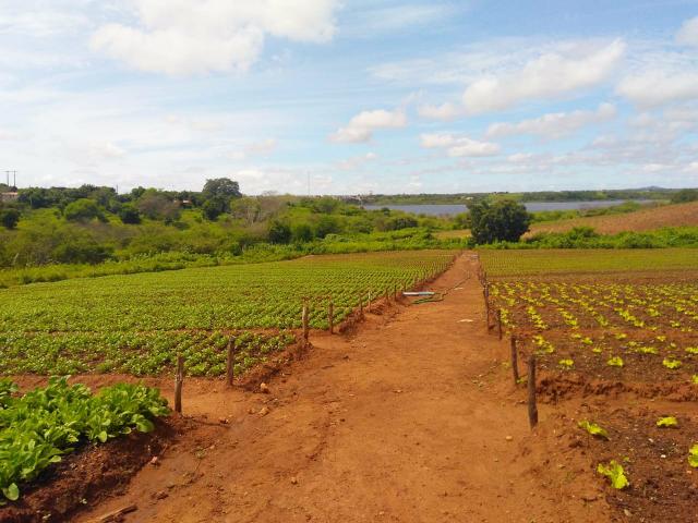 Granja em São Paulo do Potengi com estrutura - Foto 7