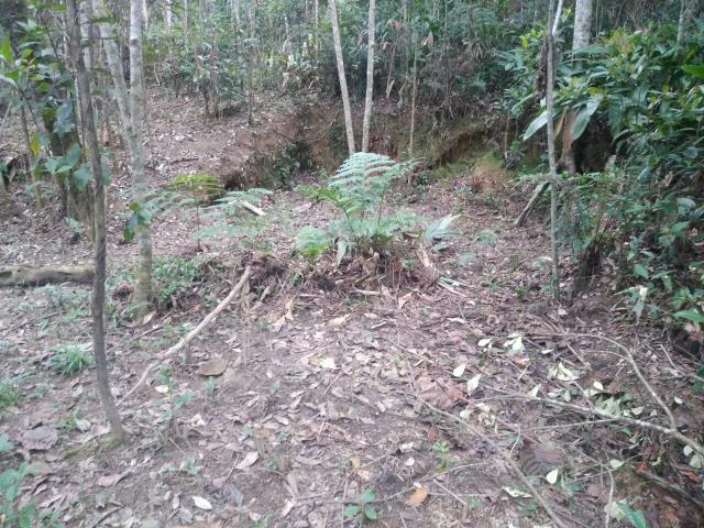 Terreno de chácara 800mt°
