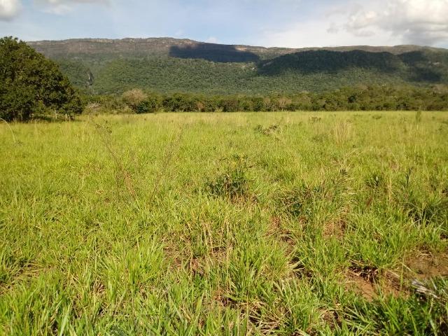 Fazenda entre Jangada e Rosário Oeste com 784 Hectares - Foto 11