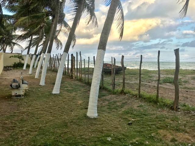 Casa beira mar em Riacho Doce! - Foto 5
