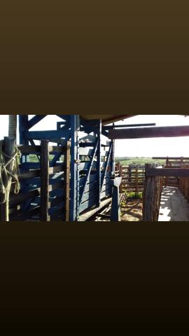 Fazenda com 150 hectares em cachoeira do sapo na br 304 zap. * - Foto 7