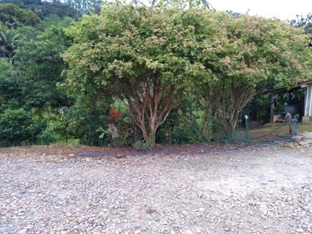 Sitio Palmital Taió-SC 4 hectares - Foto 5