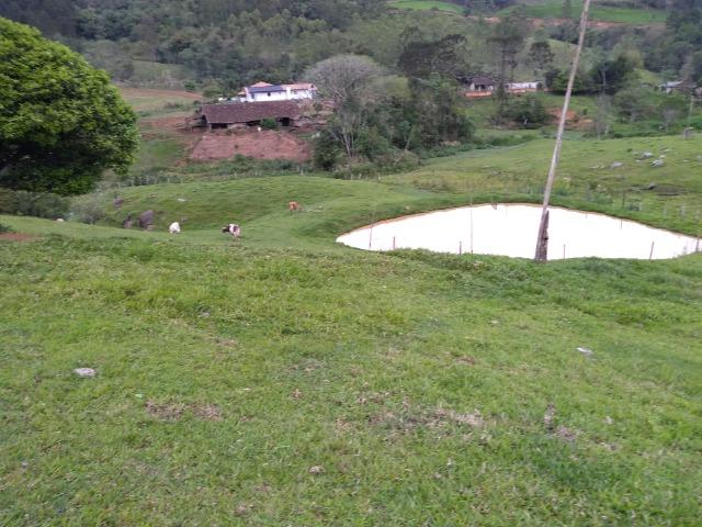 Sitio Palmital Taió-SC 4 hectares