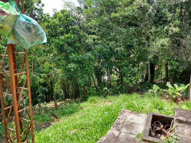 Belíssimo sítio em Guapimirim medindo 5.000m2 oportunidade!!!! - Foto 11