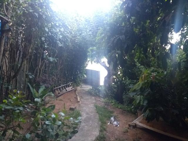 Hospedagens em Itacaré diversas Kitnets etcs - Foto 6