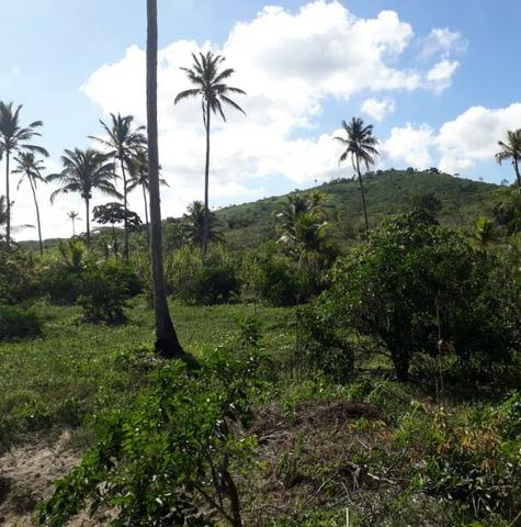 Ótima propriedade de 1.5 hectare, a 7 km da BR de Pombos-PE - Foto 10