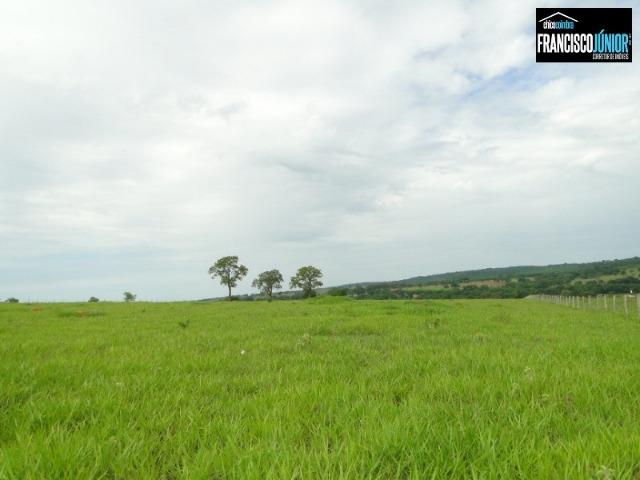 Fazenda em Piracanjuba, perto de Goiânia, 13 Alqueires de pura beleza, frente para rodovia - Foto 12