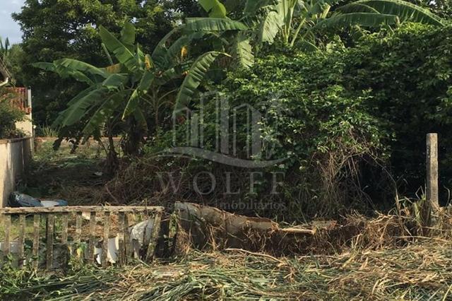 JD162 - Terreno com 532m2 a 350 metros da Praia em Balneário Piçarras - SC - Foto 4