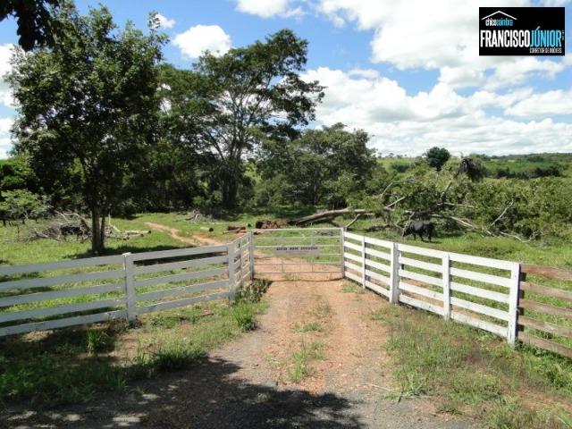 Fazenda em Piracanjuba, perto de Goiânia, 13 Alqueires de pura beleza, frente para rodovia - Foto 4