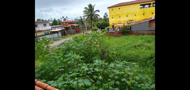 Grande lote em Porto de Galinhas- Perto do mar! Oportunidade de investimento!! - Foto 3