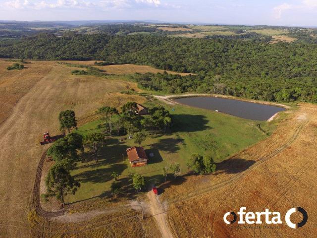 Fazenda com 54 alqueires em Mariental, na Lapa - Foto 20