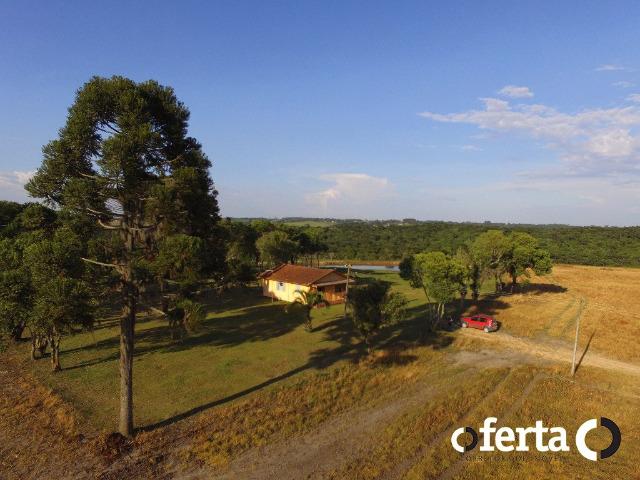 Fazenda com 54 alqueires em Mariental, na Lapa - Foto 6