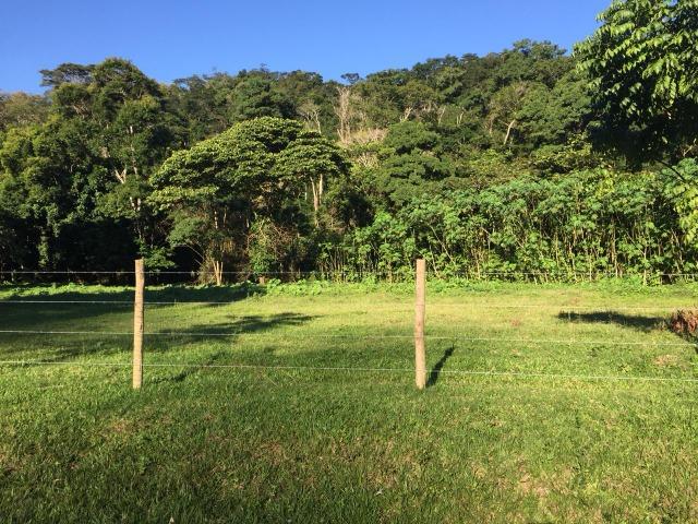 Bon: 2269 Serra do Mato Grosso - Saquarema - Foto 11
