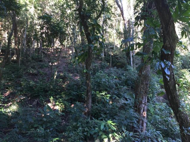 Bon: 2269 Serra do Mato Grosso - Saquarema - Foto 8