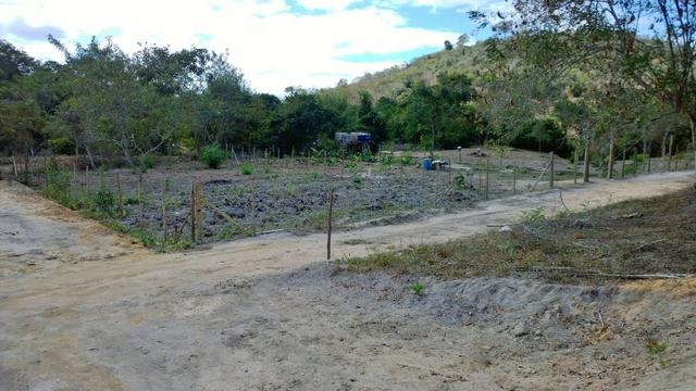 Chácaras em colatina - Foto 8