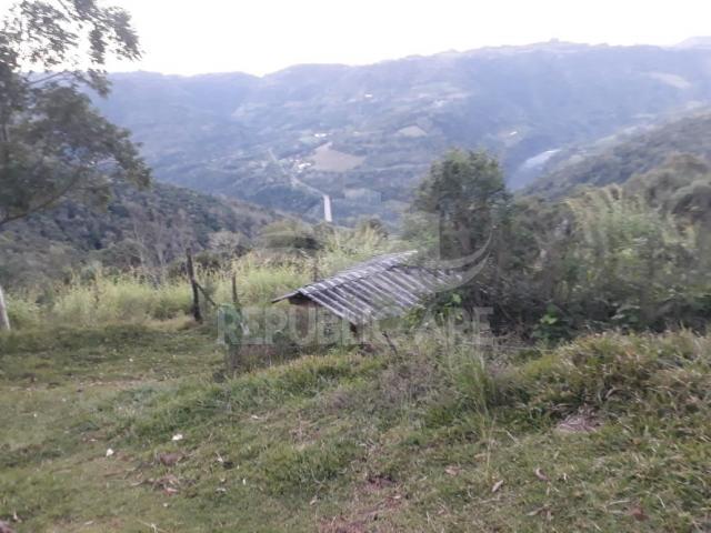 Sítio à venda em Centro, Flores da cunha cod:RP141 - Foto 17