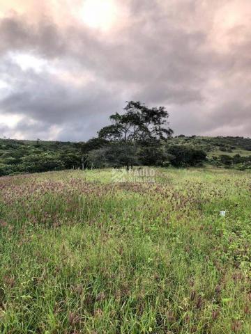 Loteamento quintas da serra negra - Foto 2