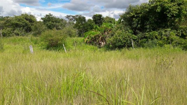 Vendo fazenda bem localizada com 726000m² - Foto 5