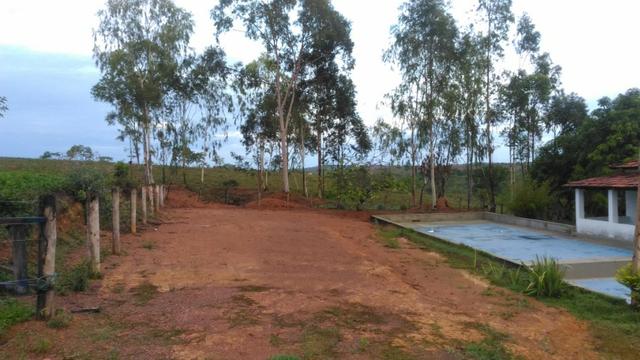Vende-se Sítio no município de Lagamar 56 Hectares - Foto 7