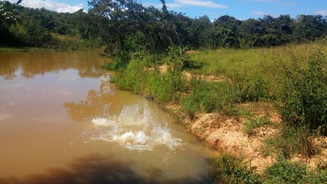 Vende-se Sítio no município de Lagamar 56 Hectares - Foto 18