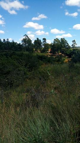 Vende-se Sítio no município de Lagamar 56 Hectares - Foto 19