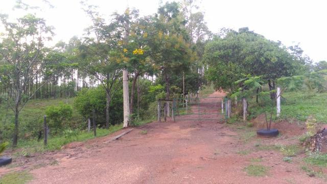 Vende-se Sítio no município de Lagamar 56 Hectares - Foto 9