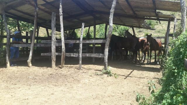 Santa Leopoldina Fazendinha escriturada - Foto 9