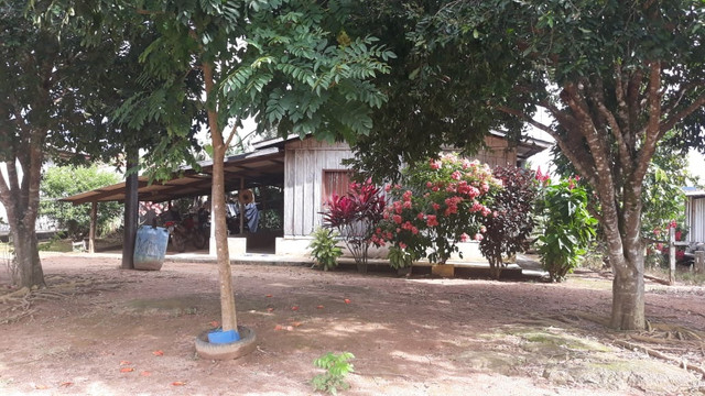 Fazenda 14.364 hectares em Alta Floresta-MT - Foto 12